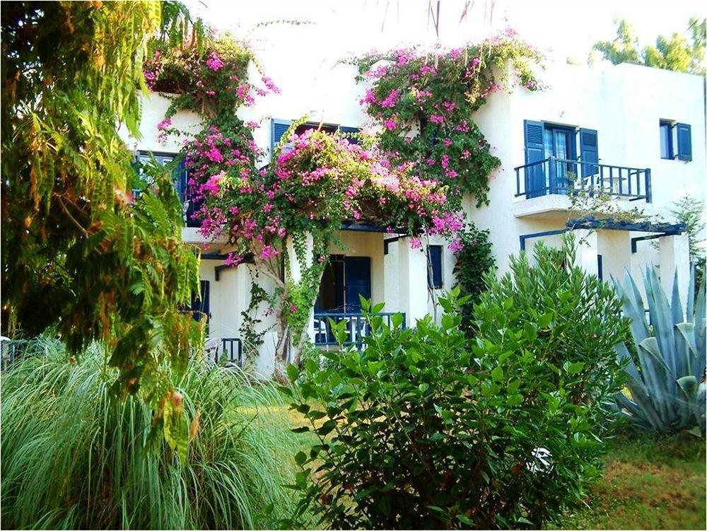 Home Hotel (Adults Only) Hersonissos  Exteriör bild